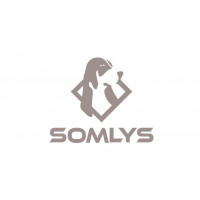 Somlys